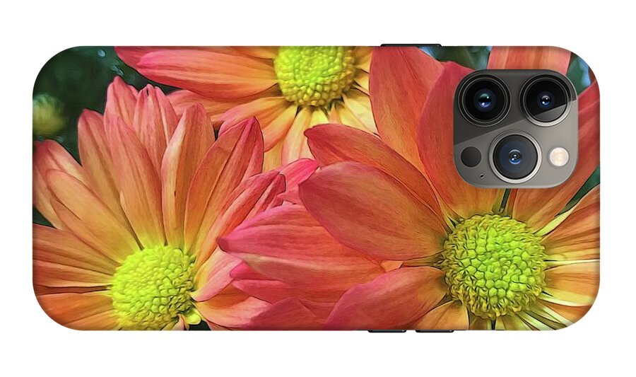 Cream And Pink Three Flower Close Up - Phone Case