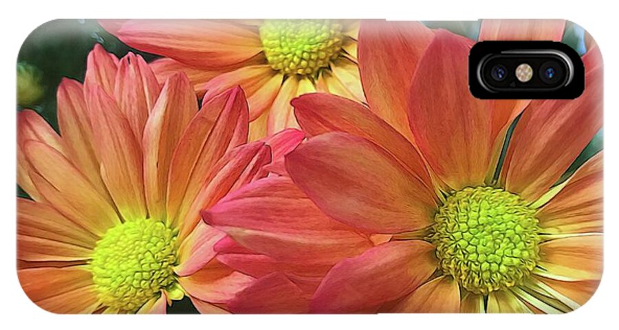 Cream And Pink Three Flower Close Up - Phone Case