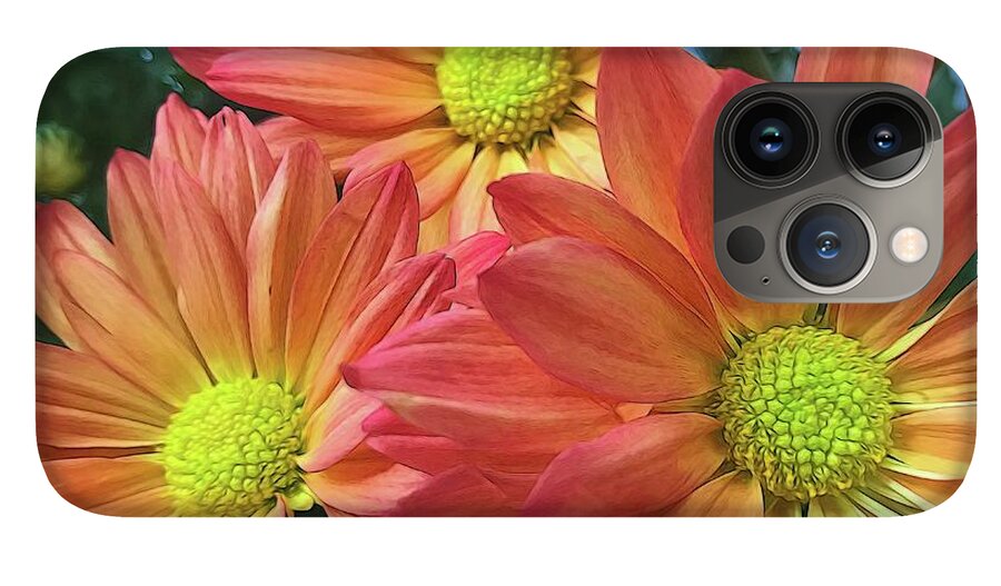 Cream And Pink Three Flower Close Up - Phone Case