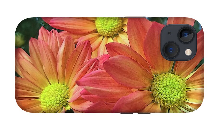 Cream And Pink Three Flower Close Up - Phone Case