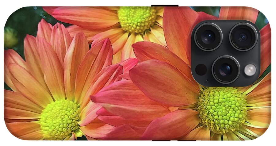Cream And Pink Three Flower Close Up - Phone Case