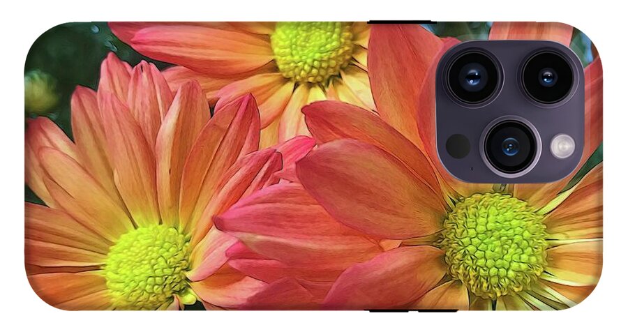 Cream And Pink Three Flower Close Up - Phone Case