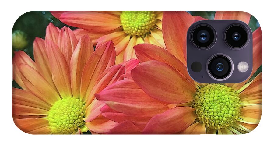 Cream And Pink Three Flower Close Up - Phone Case