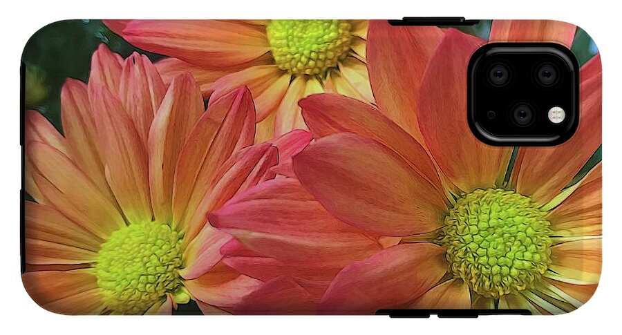 Cream And Pink Three Flower Close Up - Phone Case