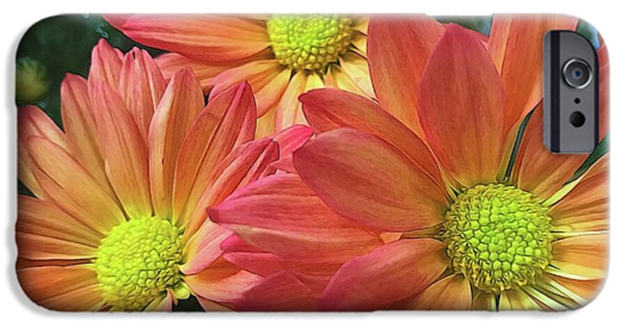 Cream And Pink Three Flower Close Up - Phone Case
