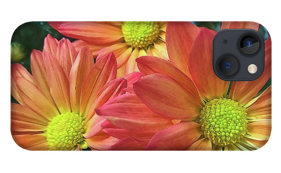 Cream And Pink Three Flower Close Up - Phone Case