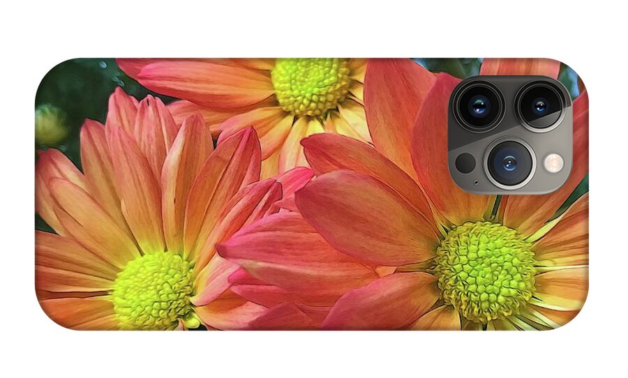 Cream And Pink Three Flower Close Up - Phone Case