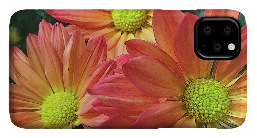 Cream And Pink Three Flower Close Up - Phone Case