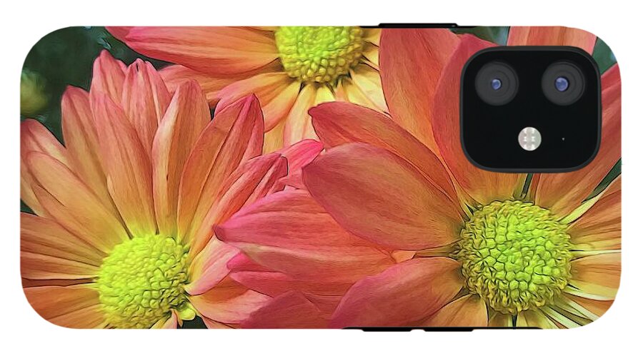Cream And Pink Three Flower Close Up - Phone Case