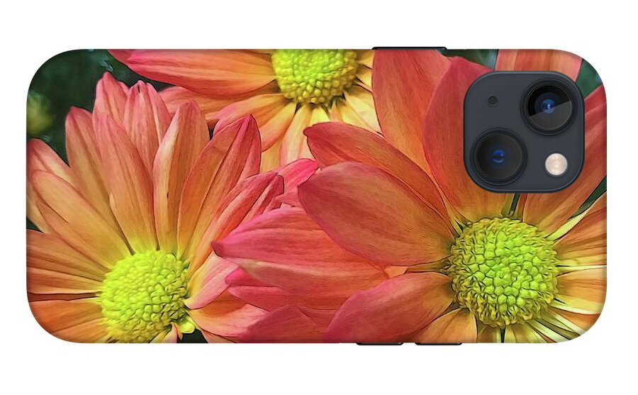 Cream And Pink Three Flower Close Up - Phone Case