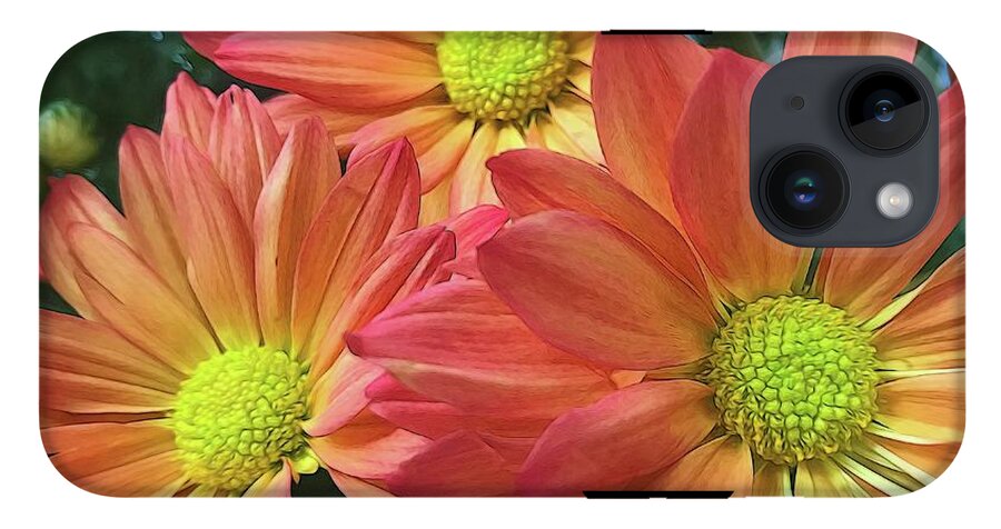 Cream And Pink Three Flower Close Up - Phone Case