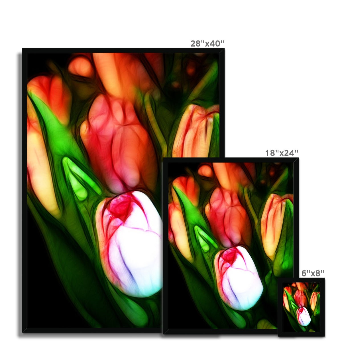 Pink Tulips Framed Print