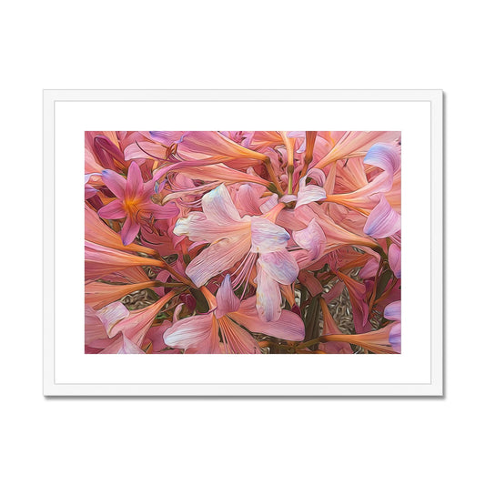 Pink Amaryllis Framed & Mounted Print