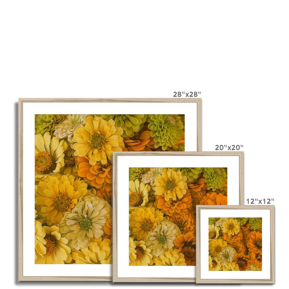 Yellow Zinnias Framed & Mounted Print