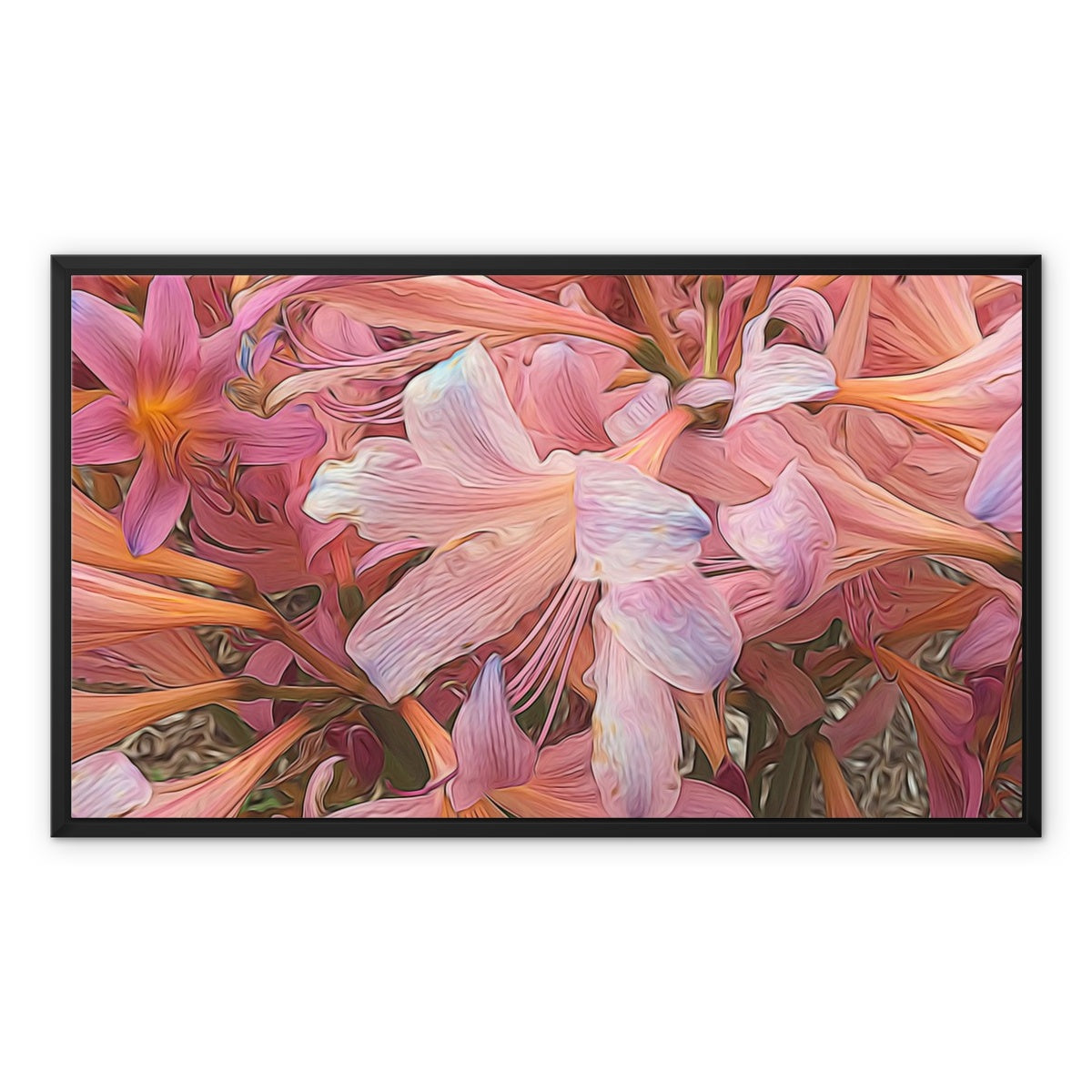 Pink Amaryllis Framed Canvas