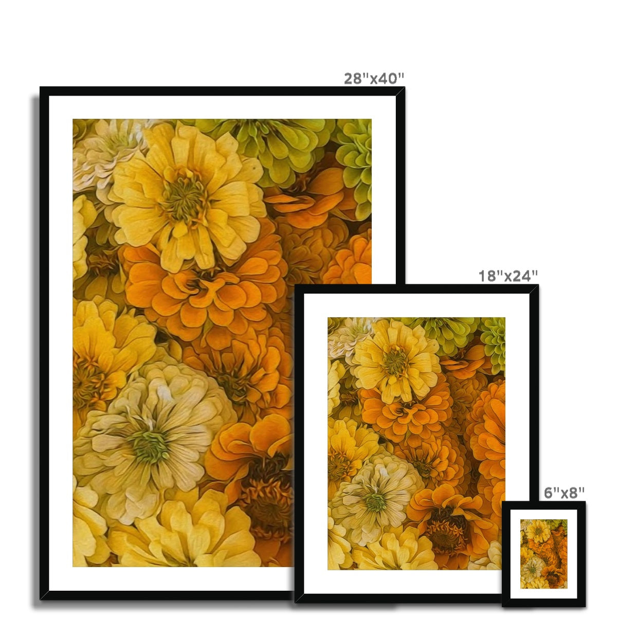Yellow Zinnias Framed & Mounted Print
