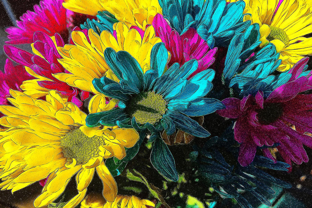 Daisies With line Digital Image Download