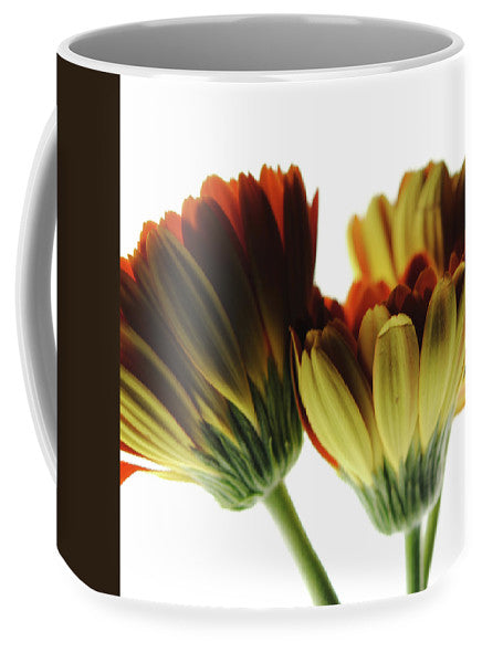 Daisy Undersides - Mug