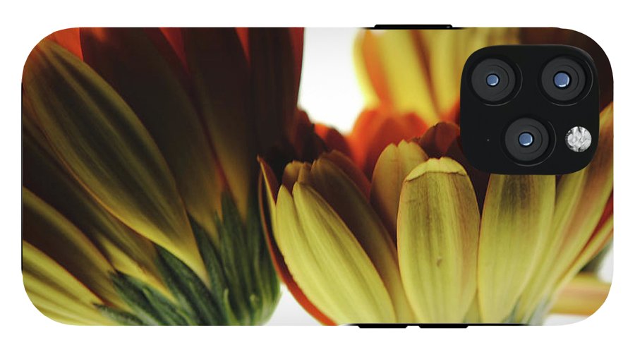 Daisy Undersides - Phone Case