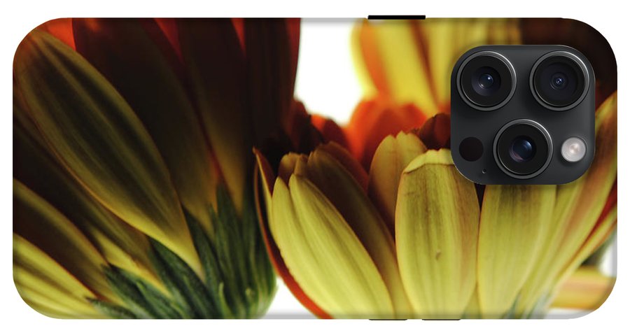 Daisy Undersides - Phone Case