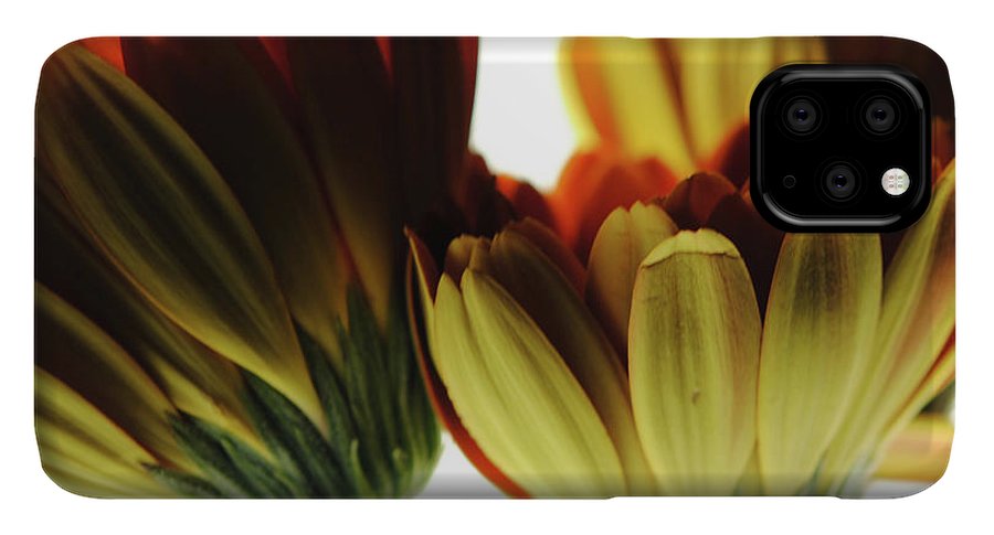 Daisy Undersides - Phone Case