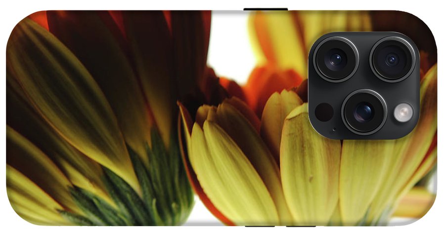 Daisy Undersides - Phone Case