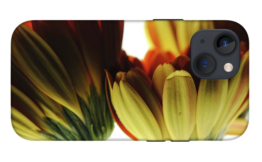Daisy Undersides - Phone Case