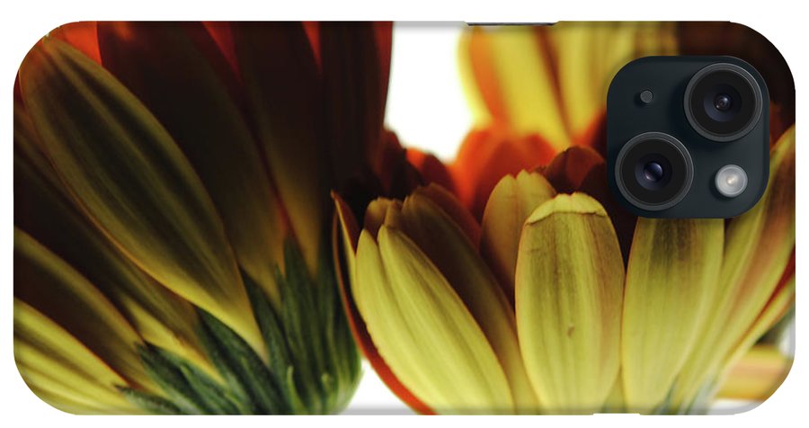 Daisy Undersides - Phone Case