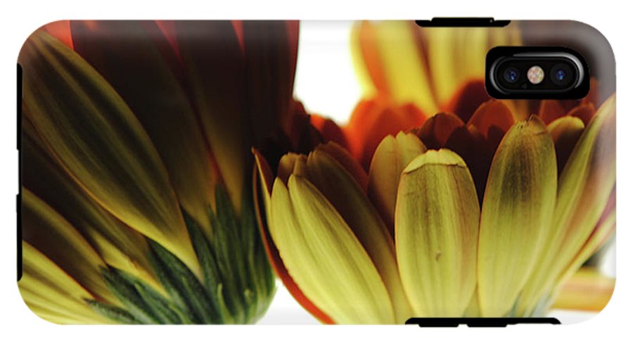 Daisy Undersides - Phone Case