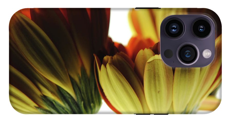 Daisy Undersides - Phone Case