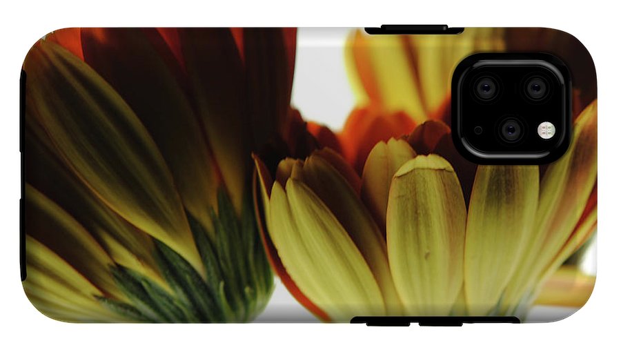 Daisy Undersides - Phone Case