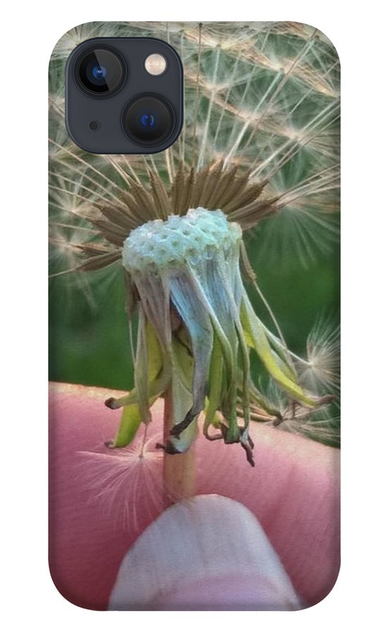 Dandelion Wish - Phone Case