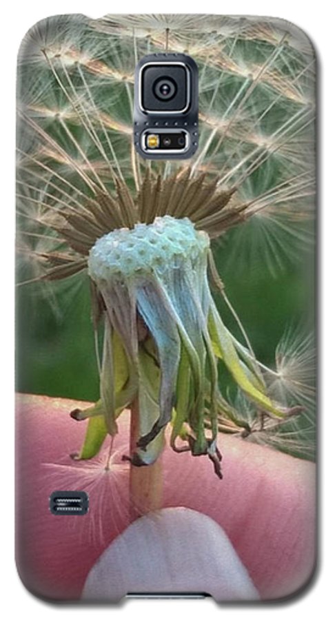 Dandelion Wish - Phone Case