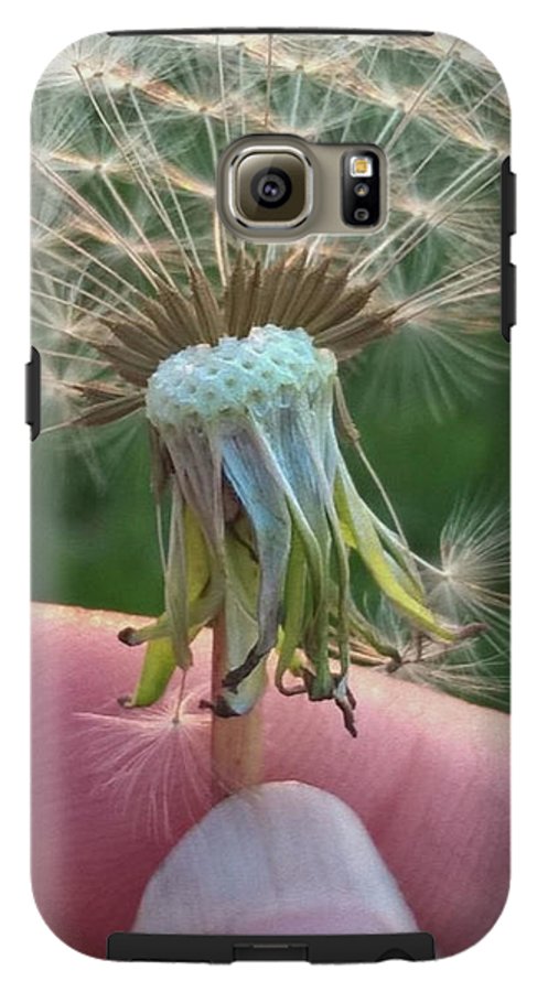 Dandelion Wish - Phone Case