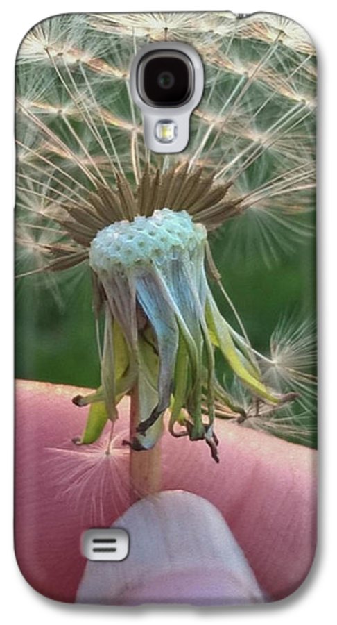 Dandelion Wish - Phone Case