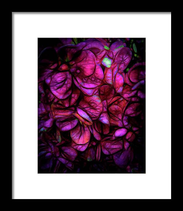 Dark Pink Flower Background - Framed Print