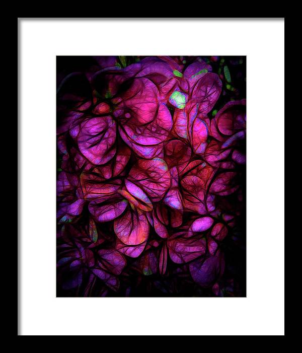 Dark Pink Flower Background - Framed Print