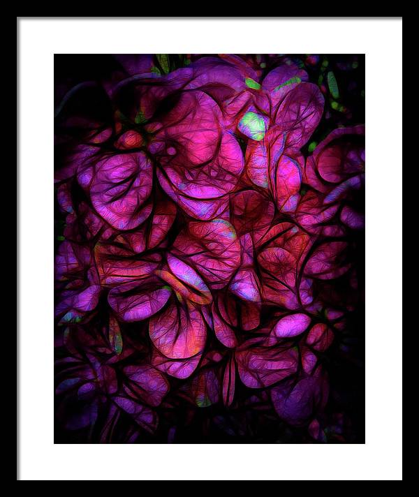 Dark Pink Flower Background - Framed Print