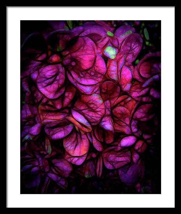 Dark Pink Flower Background - Framed Print