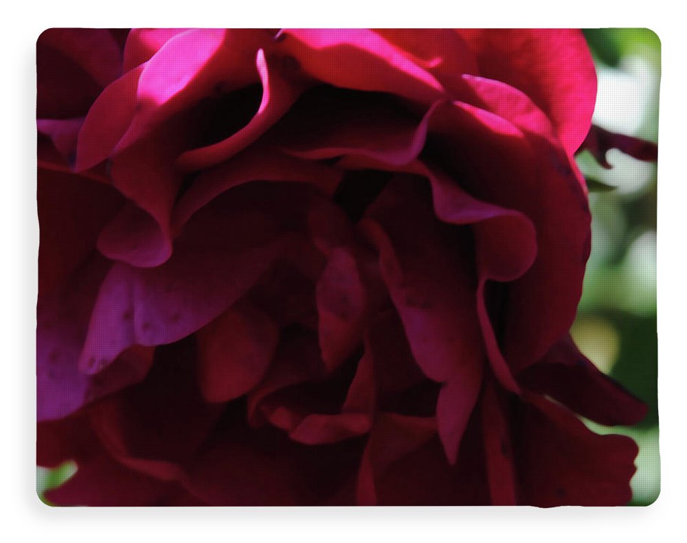 Dark Pink Flower - Blanket