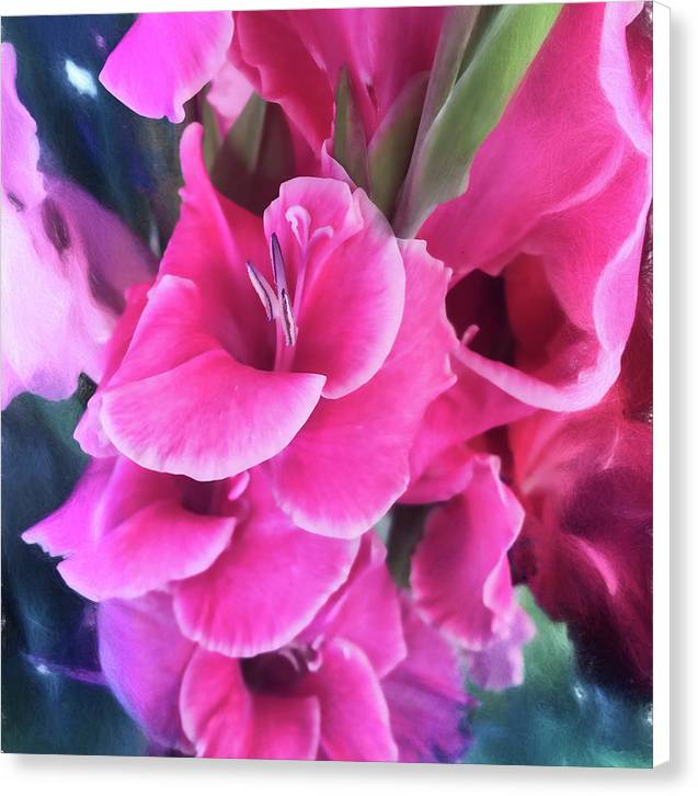 Dark Pink Gladiolas - Canvas Print