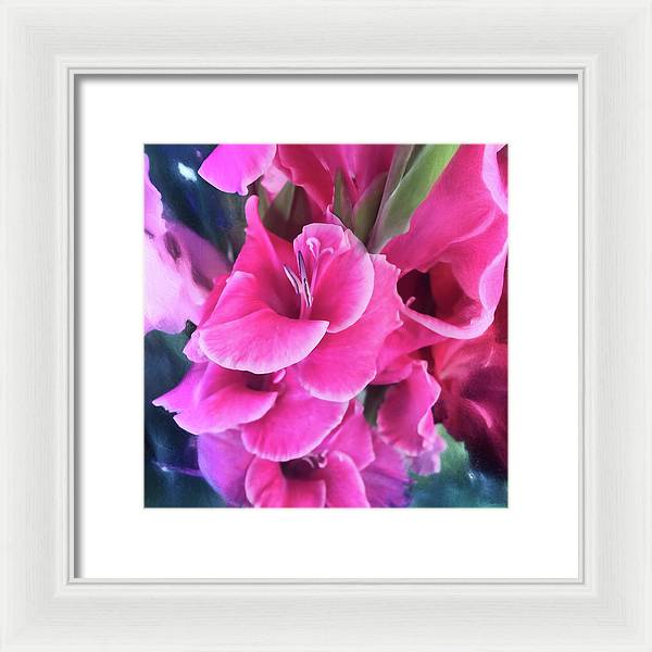Dark Pink Gladiolas - Framed Print