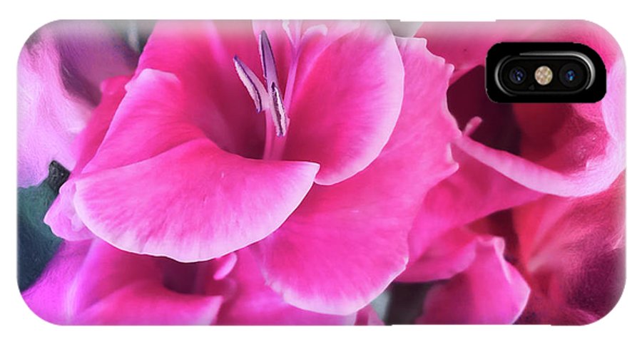 Dark Pink Gladiolas - Phone Case