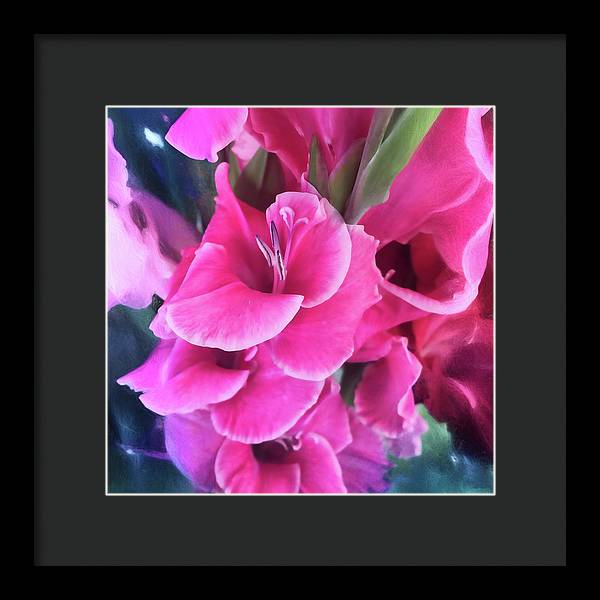 Dark Pink Gladiolas - Framed Print