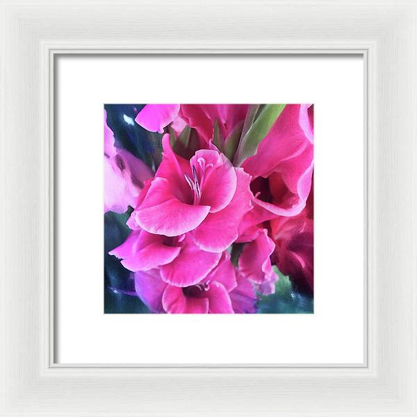 Dark Pink Gladiolas - Framed Print