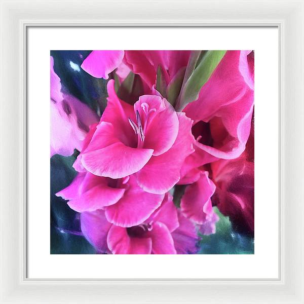 Dark Pink Gladiolas - Framed Print