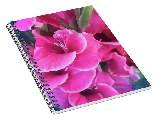 Dark Pink Gladiolas - Spiral Notebook