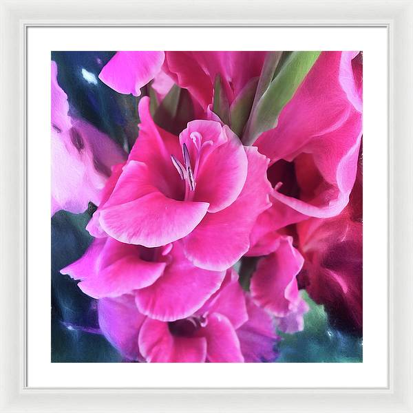 Dark Pink Gladiolas - Framed Print
