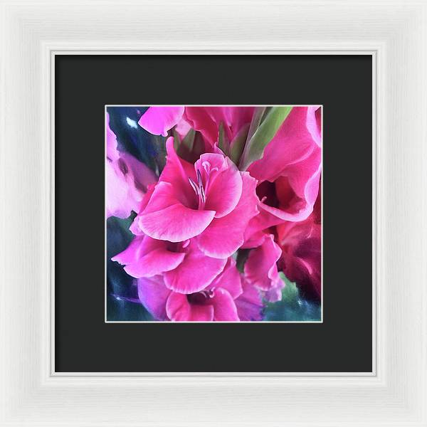 Dark Pink Gladiolas - Framed Print