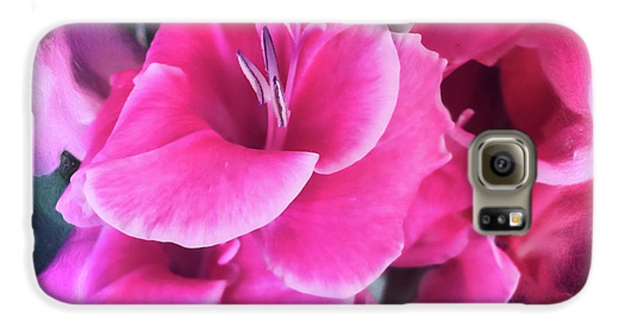 Dark Pink Gladiolas - Phone Case